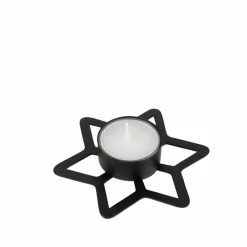 CASA STAR Décoration Séchée* Fleurs Artificielles