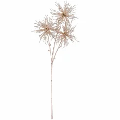 CASA STAR Décoration Séchée* Fleurs Artificielles