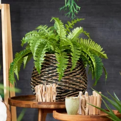 CASA STRIPE Pot à Suspendre Naturel* Porte-Plantes À Suspendre