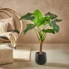 CASA TARO Plante Artificielle Arum Vert* Plantes Artificielles