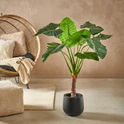 CASA TARO Plante Artificielle Arum Vert* Plantes Artificielles