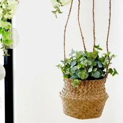 CASA TERRA Pot Avec Plante Blanc, Vert* Plantes Artificielles