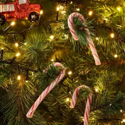 CASA X-MAS CANDY CANE Sucre D'orge Set De 12 144g Multicolore* Alimentation